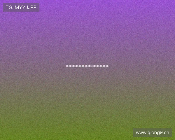 鱼泡网页版全新升级助力企业数字化转型 提升管理效率与用户体验